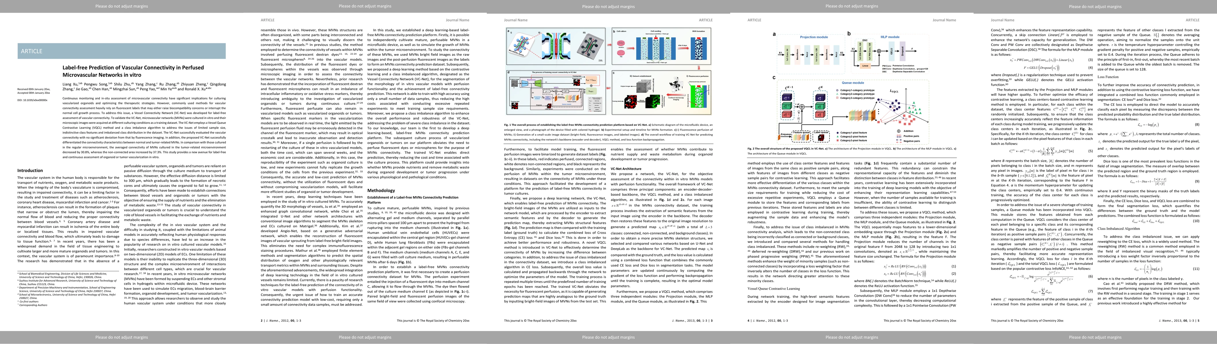 Thumbnail for Label-free Prediction of Vascular Connectivity in Perfused Microvascular
  Networks in vitro