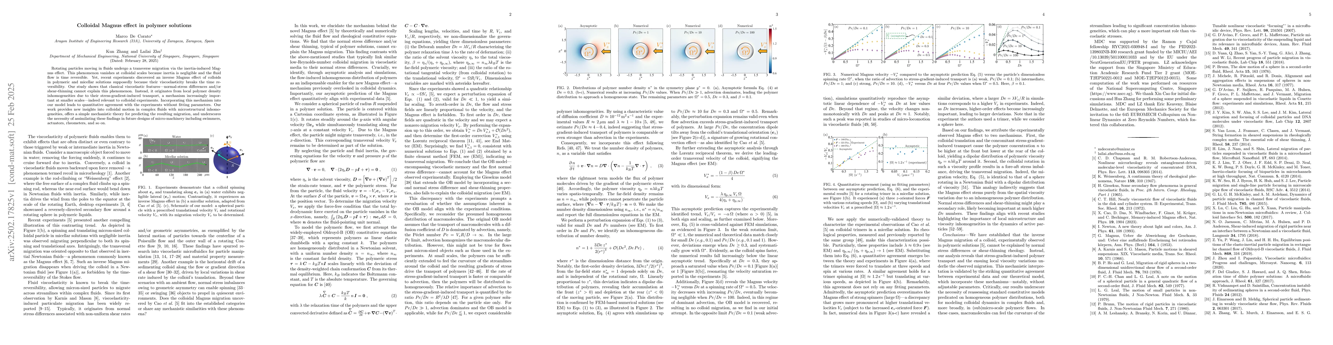 Thumbnail for Colloidal Magnus effect in polymer solutions