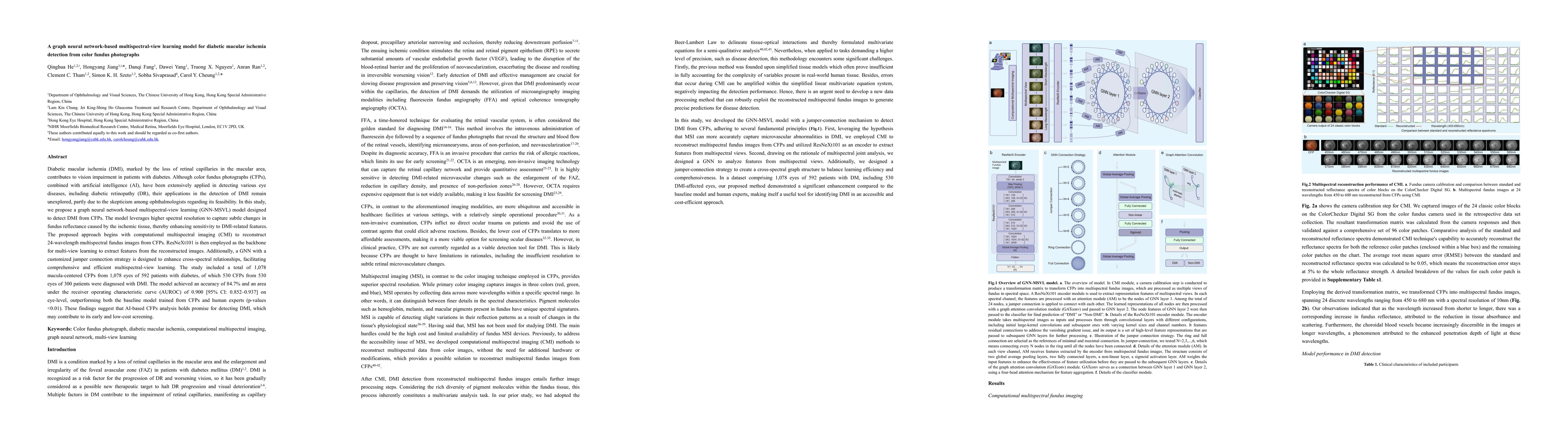 Thumbnail for A graph neural network-based multispectral-view learning model for
  diabetic macular ischemia detection from color fundus photographs
