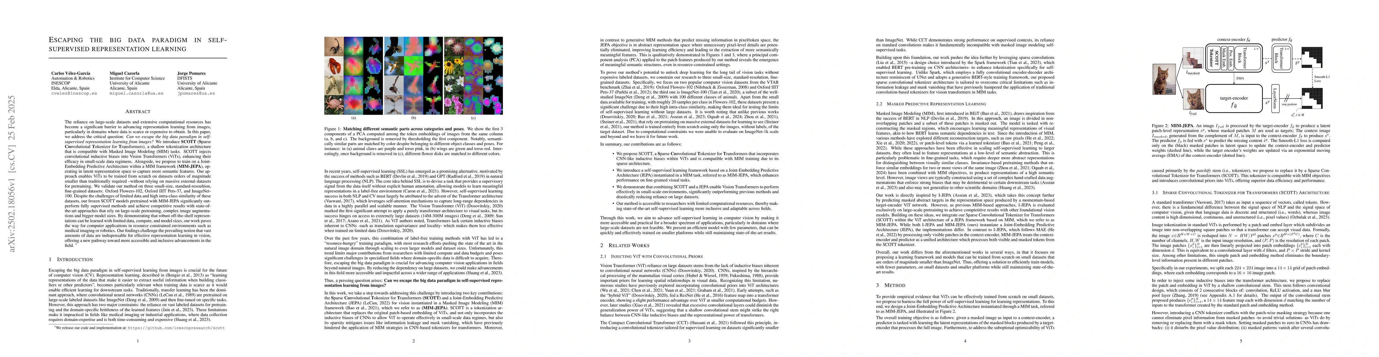 Thumbnail for Escaping The Big Data Paradigm in Self-Supervised Representation
  Learning