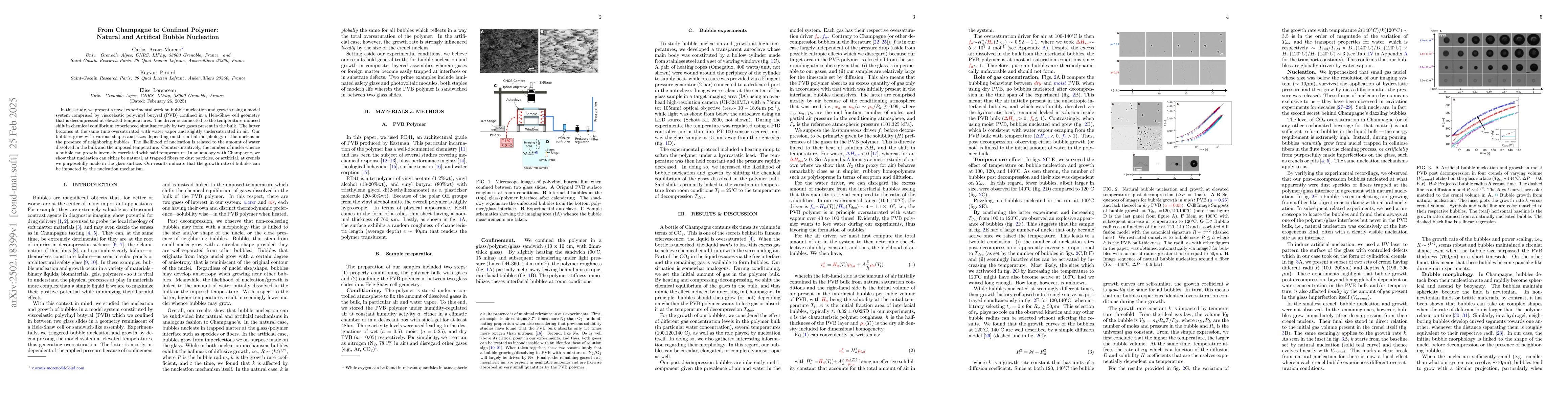 Thumbnail for From Champagne to Confined Polymer:Natural and Artifical Bubble
  Nucleation