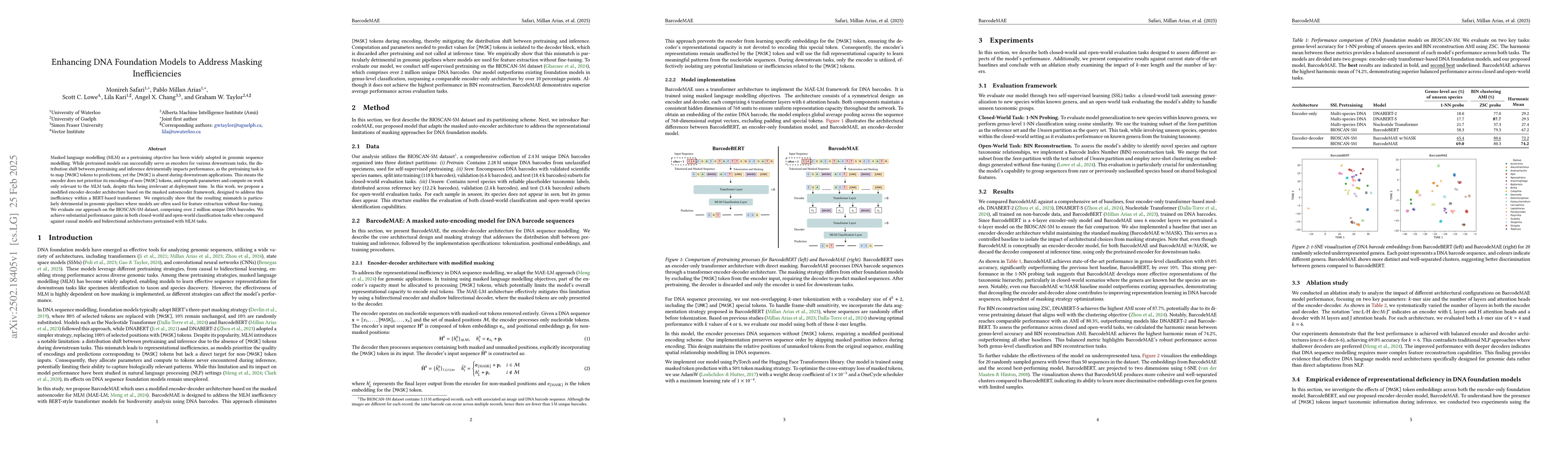 Thumbnail for Enhancing DNA Foundation Models to Address Masking Inefficiencies