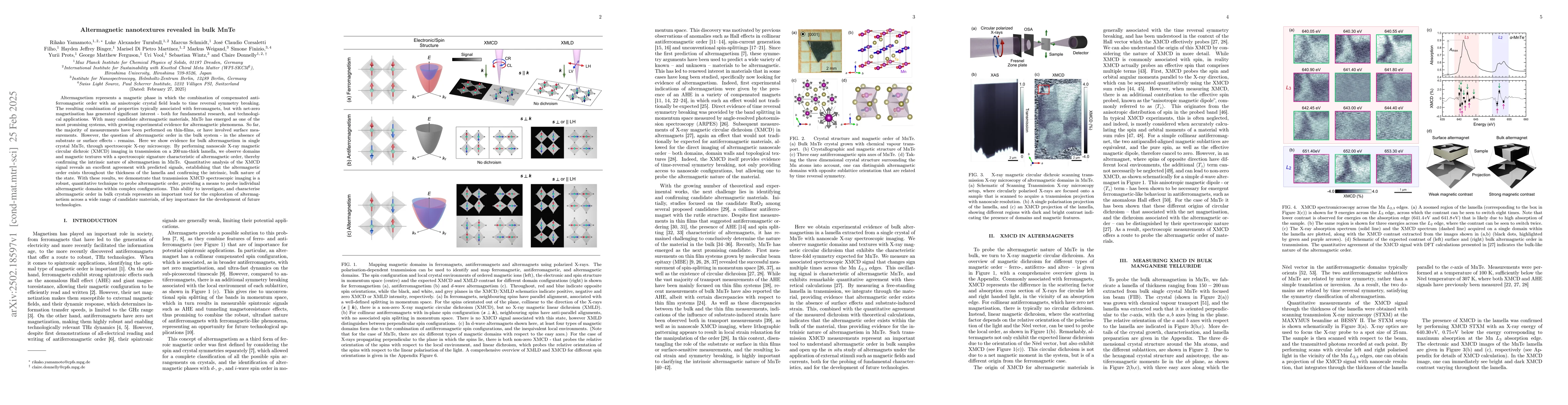 Thumbnail for Altermagnetic nanotextures revealed in bulk MnTe