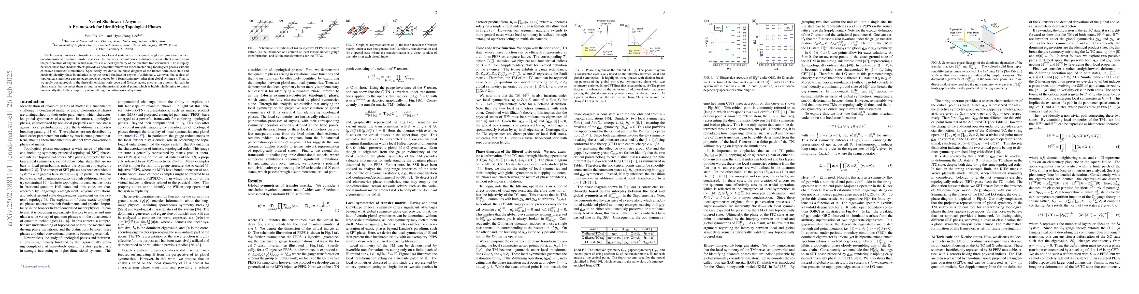 Thumbnail for Nested Shadows of Anyons:A Framework for Identifying Topological Phases