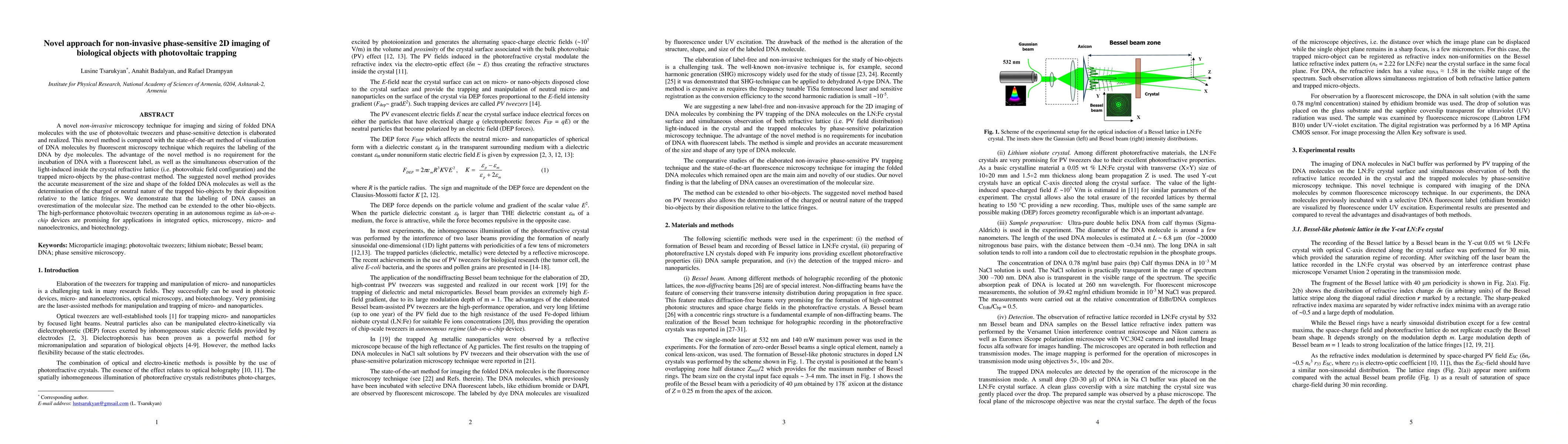 Thumbnail for Novel approach for non-invasive phase-sensitive 2D imaging of biological
  objects with photovoltaic trapping