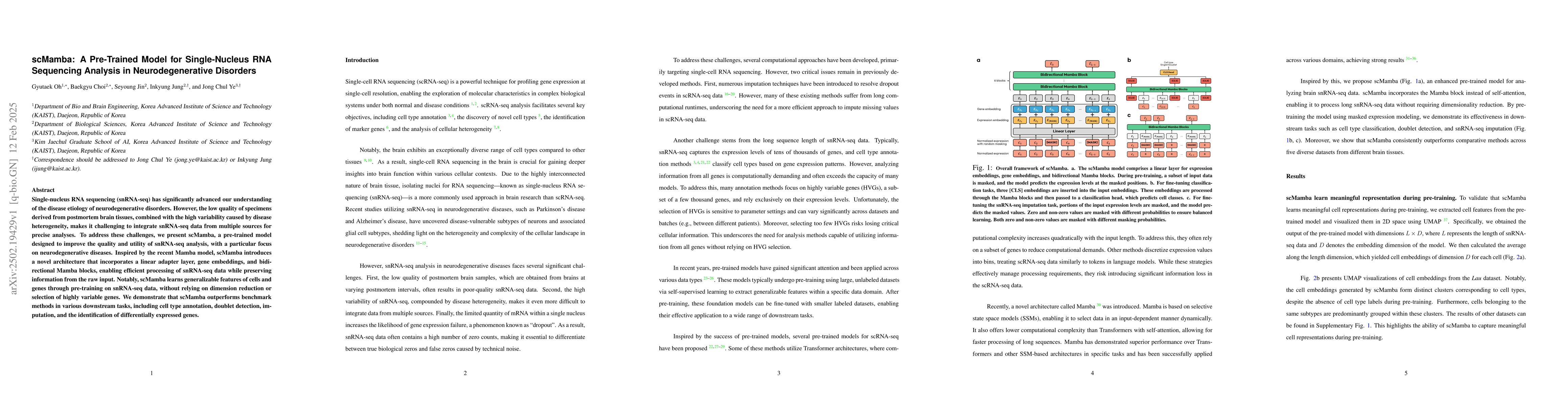 Thumbnail for scMamba: A Pre-Trained Model for Single-Nucleus RNA Sequencing Analysis
  in Neurodegenerative Disorders