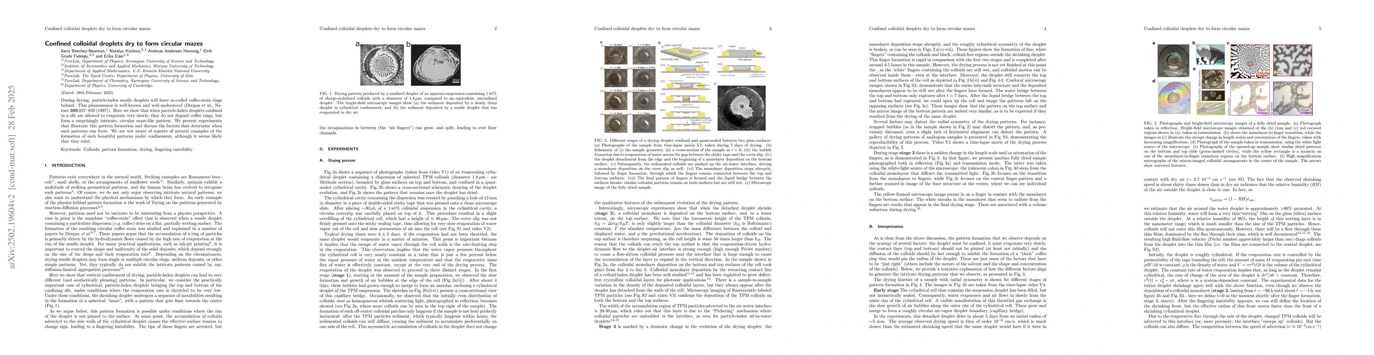 Thumbnail for Confined colloidal droplets dry to form circular mazes