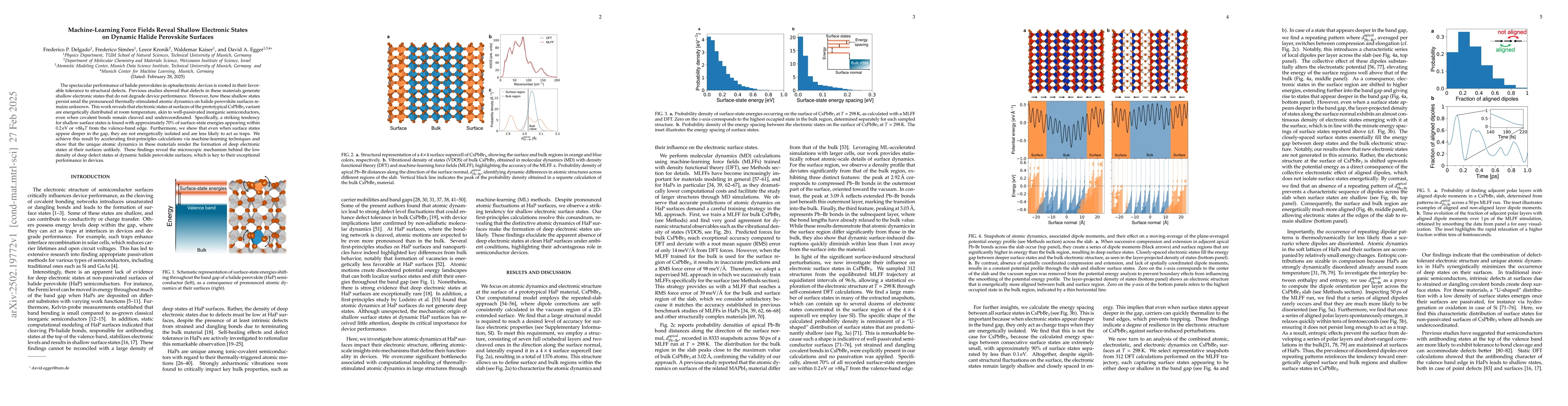 Thumbnail for Machine-Learning Force Fields Reveal Shallow Electronic States on
  Dynamic Halide Perovskite Surfaces