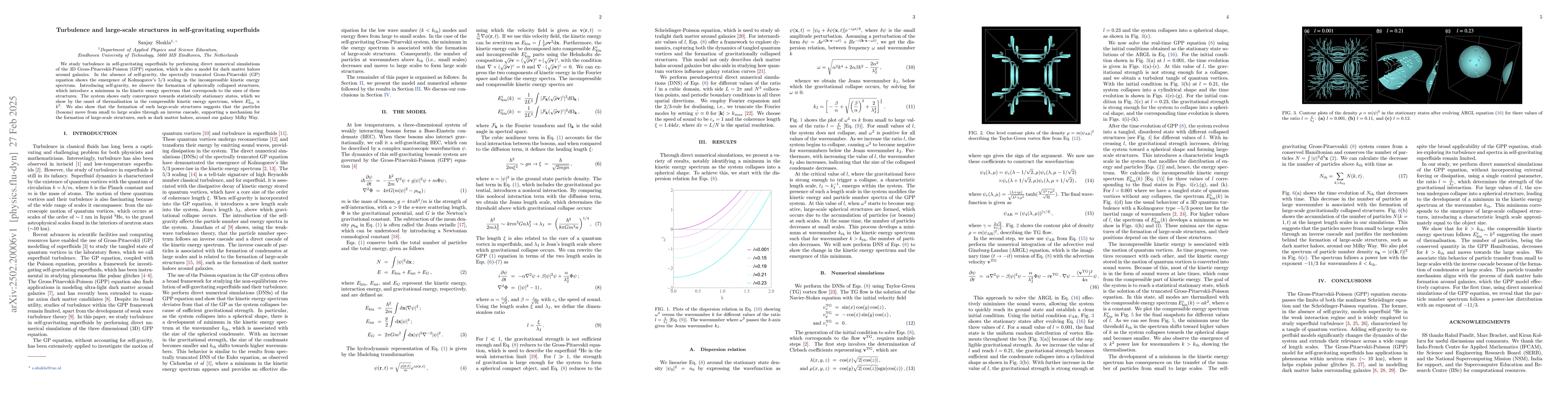 Thumbnail for Turbulence and large-scale structures in self-gravitating superfluids