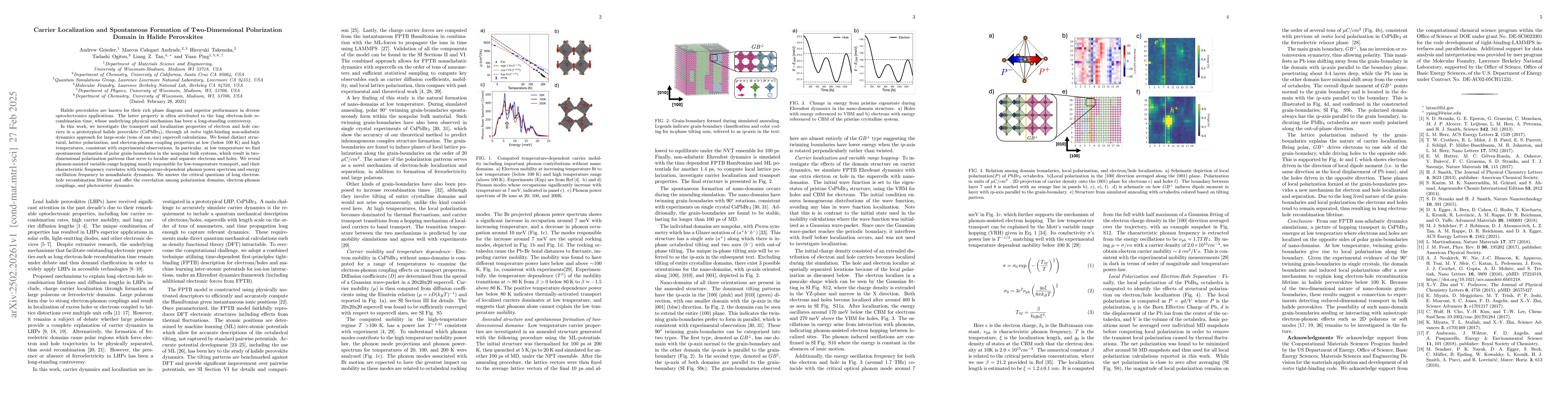Thumbnail for Carrier Localization and Spontaneous Formation of Two-Dimensional
  Polarization Domain in Halide Perovskites
