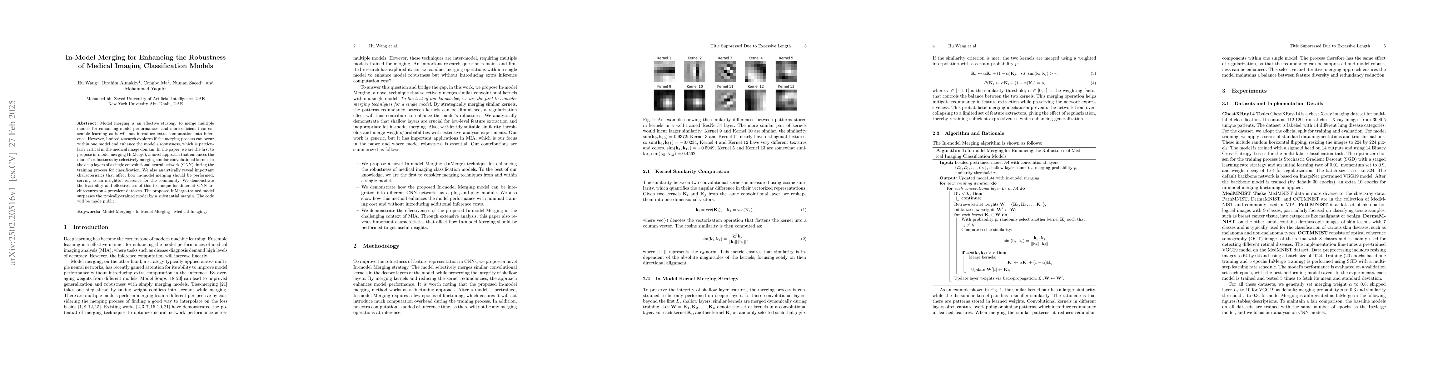 Thumbnail for In-Model Merging for Enhancing the Robustness of Medical Imaging
  Classification Models