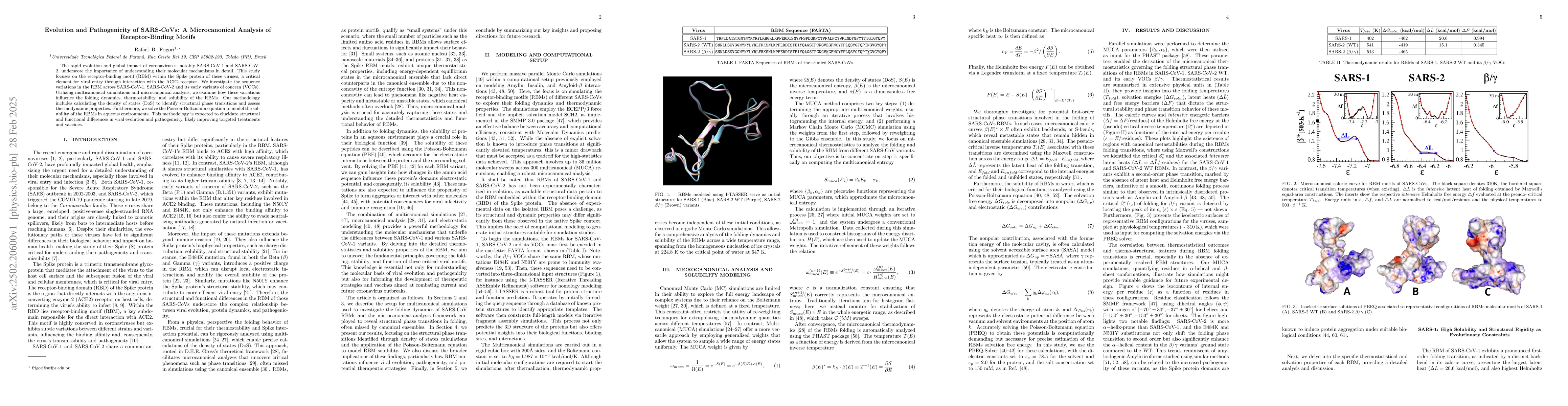 Thumbnail for Evolution and Pathogenicity of SARS-CoVs: A Microcanonical Analysis of
  Receptor-Binding Motifs