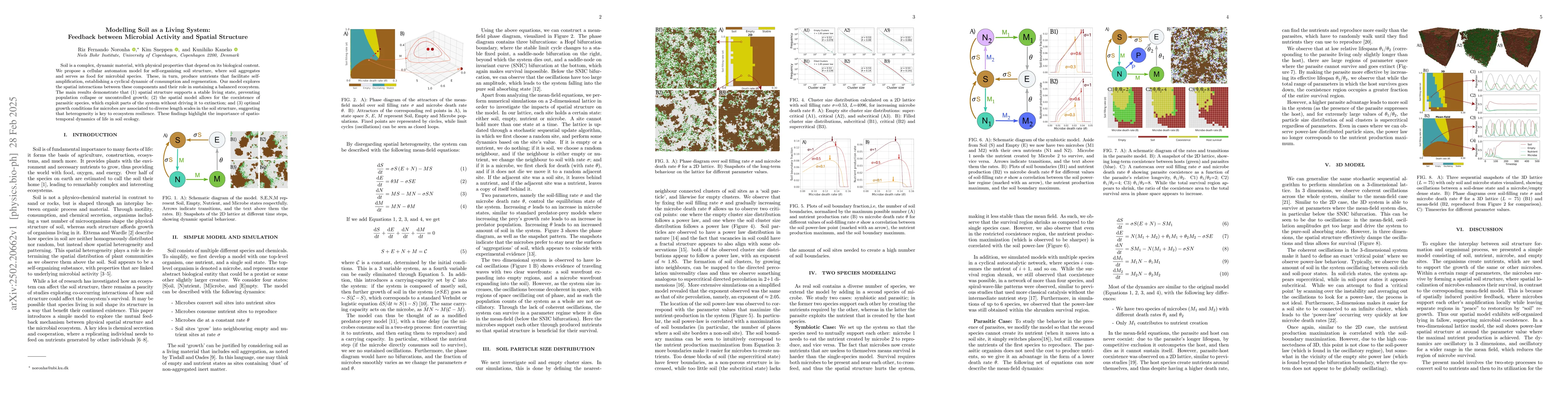 Thumbnail for Modelling Soil as a Living System: Feedback between Microbial Activity
  and Spatial Structure