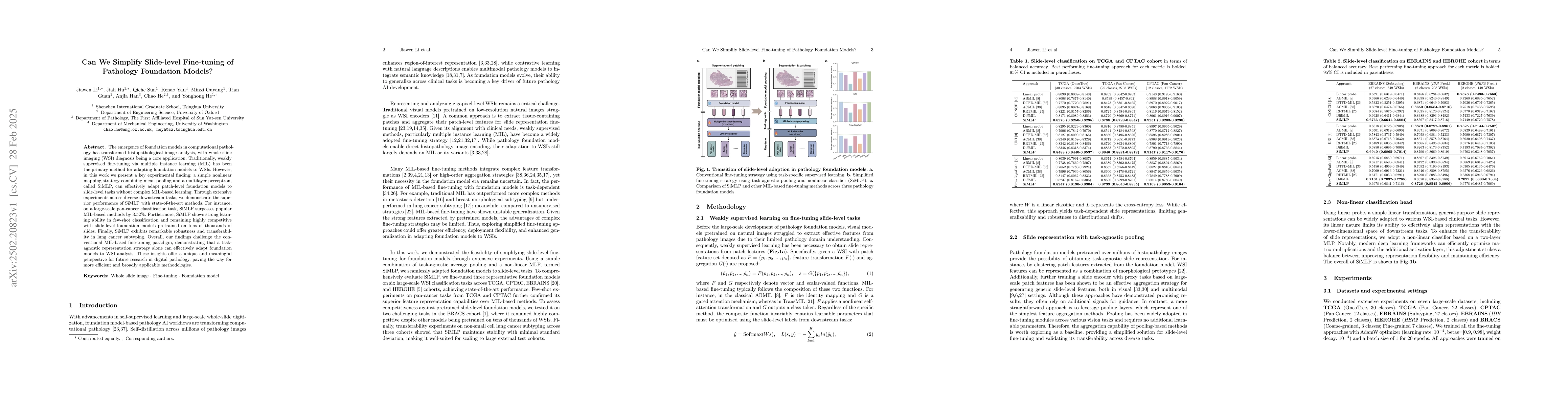 Thumbnail for Can We Simplify Slide-level Fine-tuning of Pathology Foundation Models?