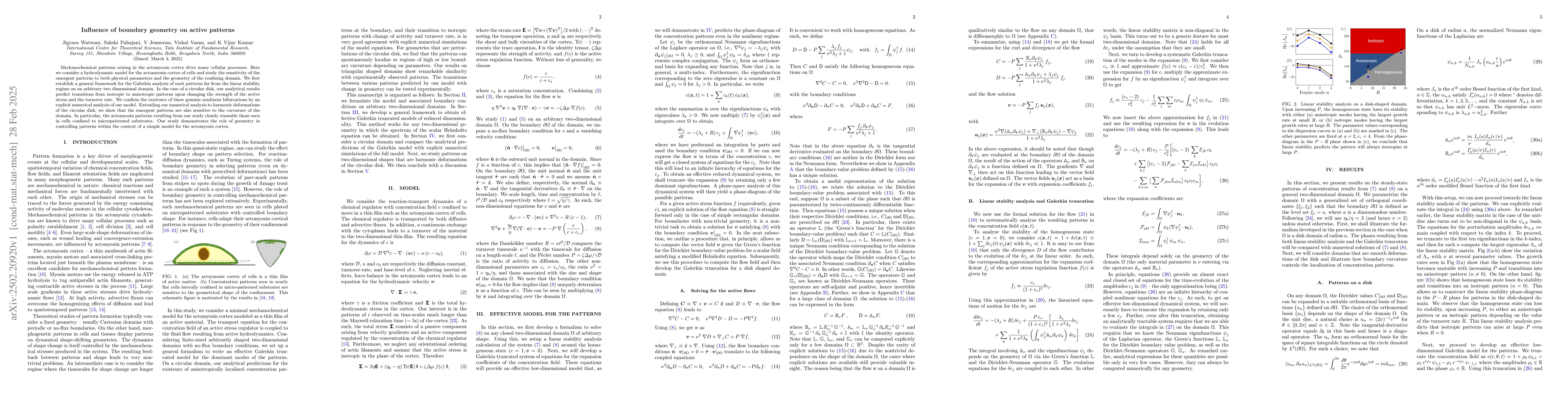 Thumbnail for Influence of boundary geometry on active patterns
