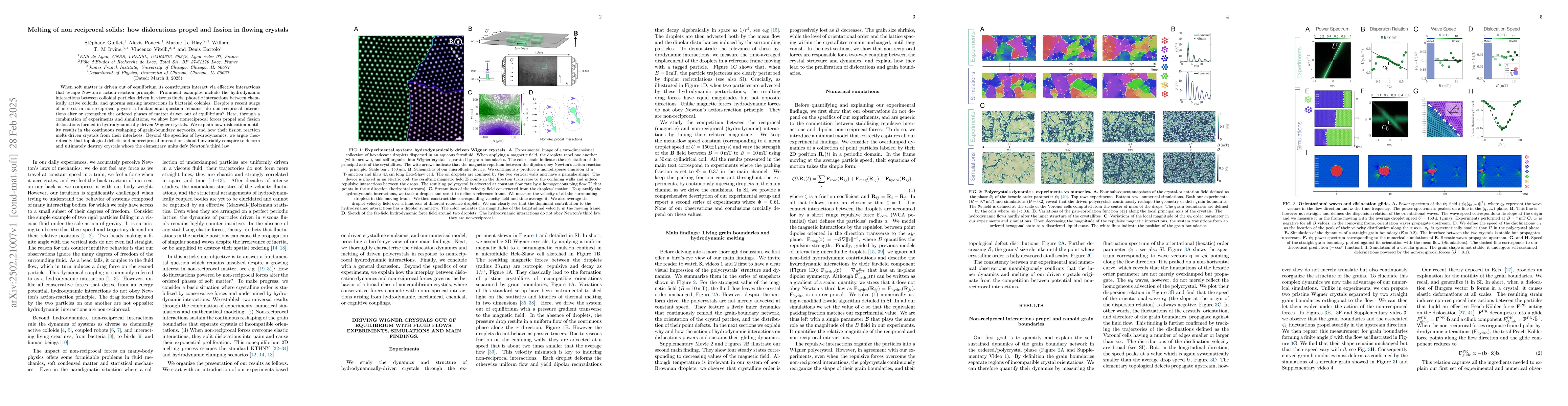 Thumbnail for Melting of non reciprocal solids: how dislocations propel and fission in
  flowing crystals