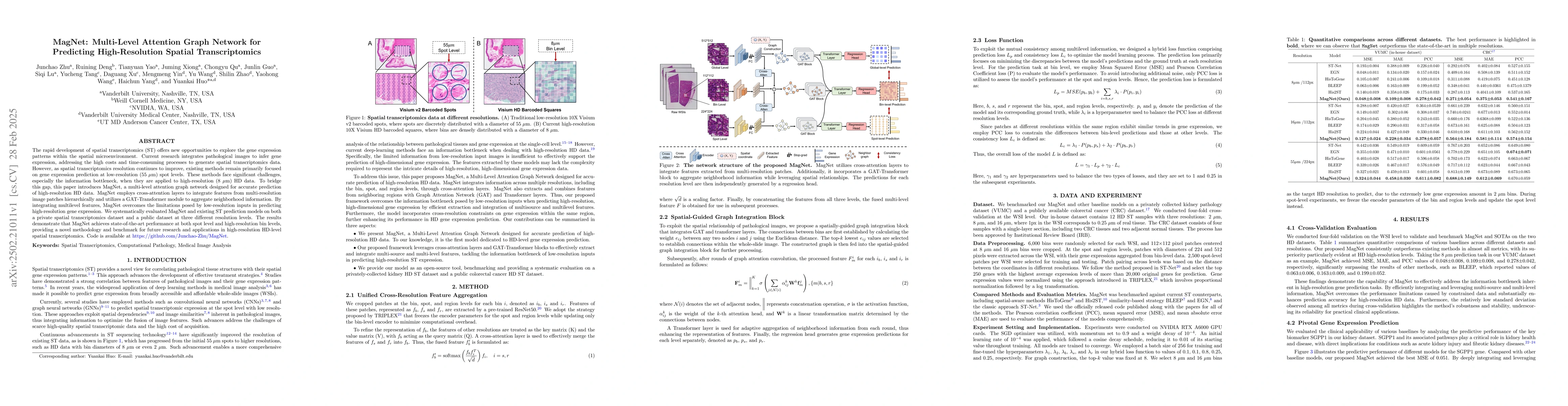 Thumbnail for MagNet: Multi-Level Attention Graph Network for Predicting
  High-Resolution Spatial Transcriptomics
