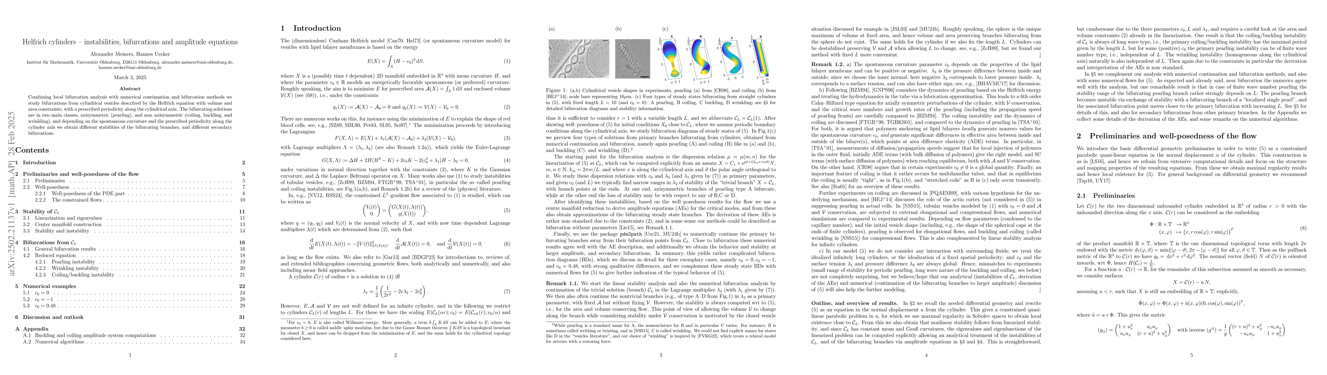 Thumbnail for Helfrich cylinders -- instabilities, bifurcations and amplitude
  equations