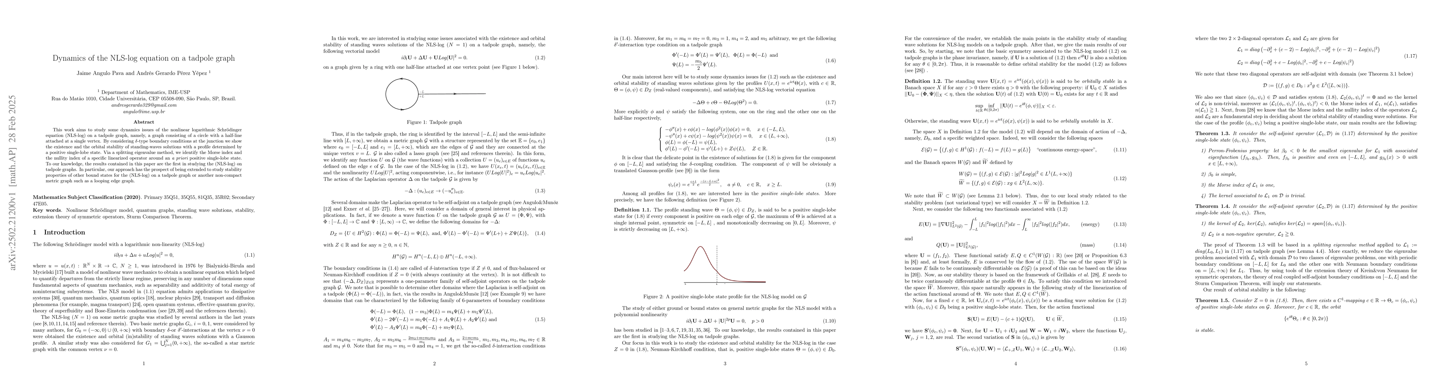 Thumbnail for Dynamics of the NLS-log equation on a tadpole graph