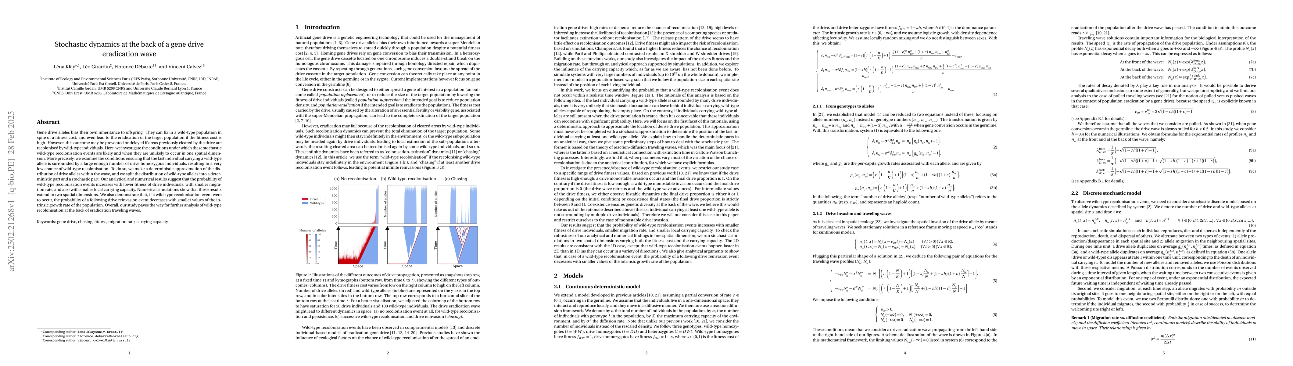 Thumbnail for Stochastic dynamics at the back of a gene drive propagation wave