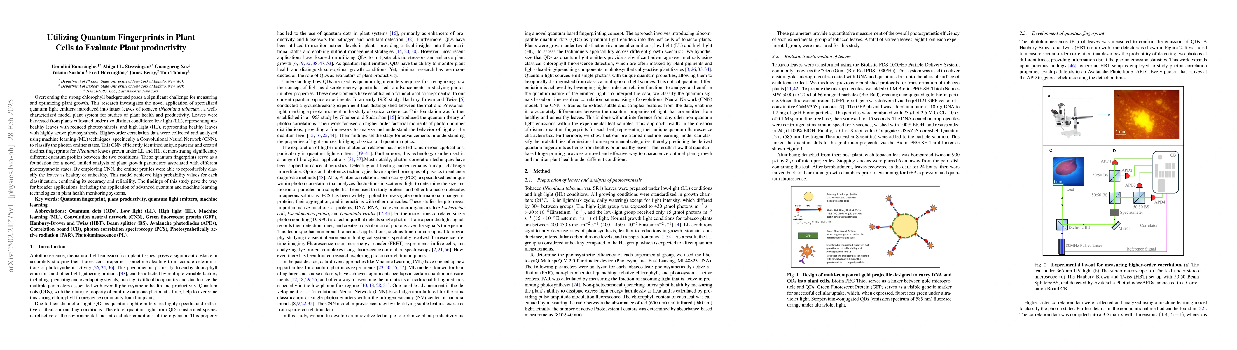 Thumbnail for Utilizing Quantum Fingerprints in Plant Cells to Evaluate Plant
  productivity
