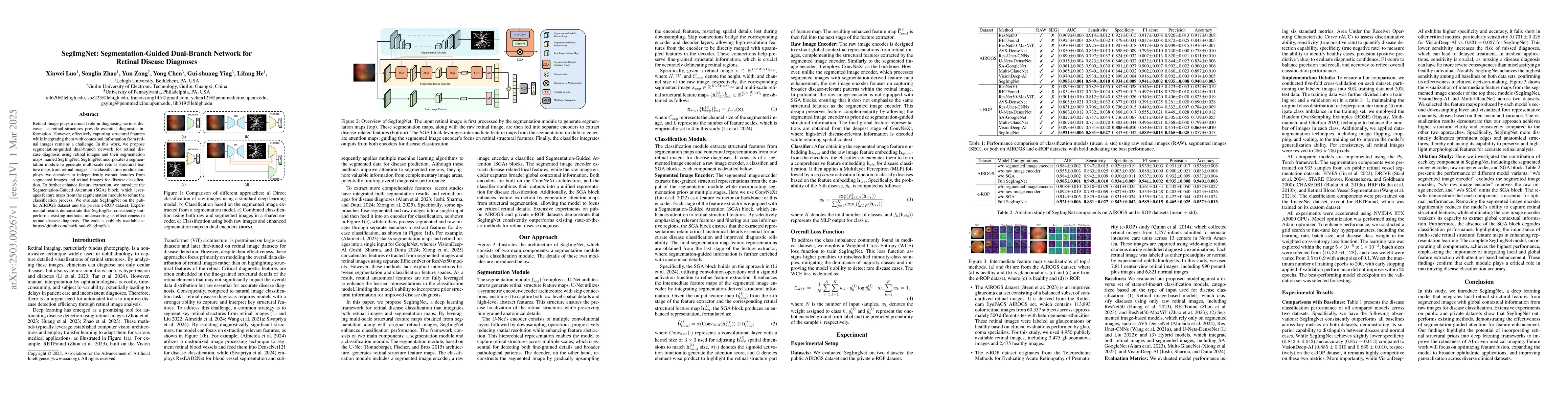 Thumbnail for SegImgNet: Segmentation-Guided Dual-Branch Network for Retinal Disease
  Diagnoses