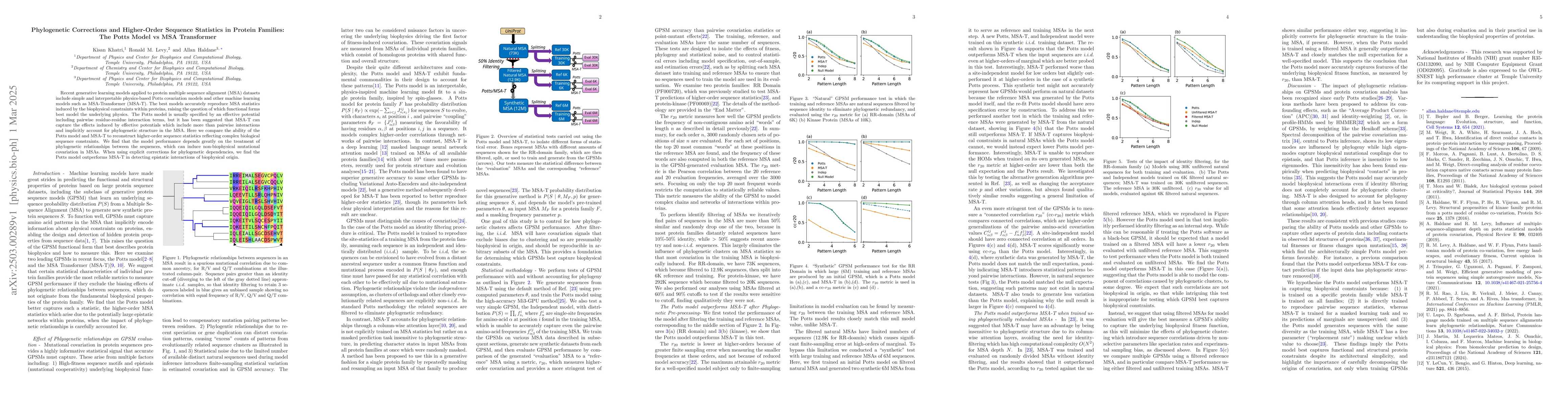 Thumbnail for Phylogenetic Corrections and Higher-Order Sequence Statistics in Protein
  Families: The Potts Model vs MSA Transformer