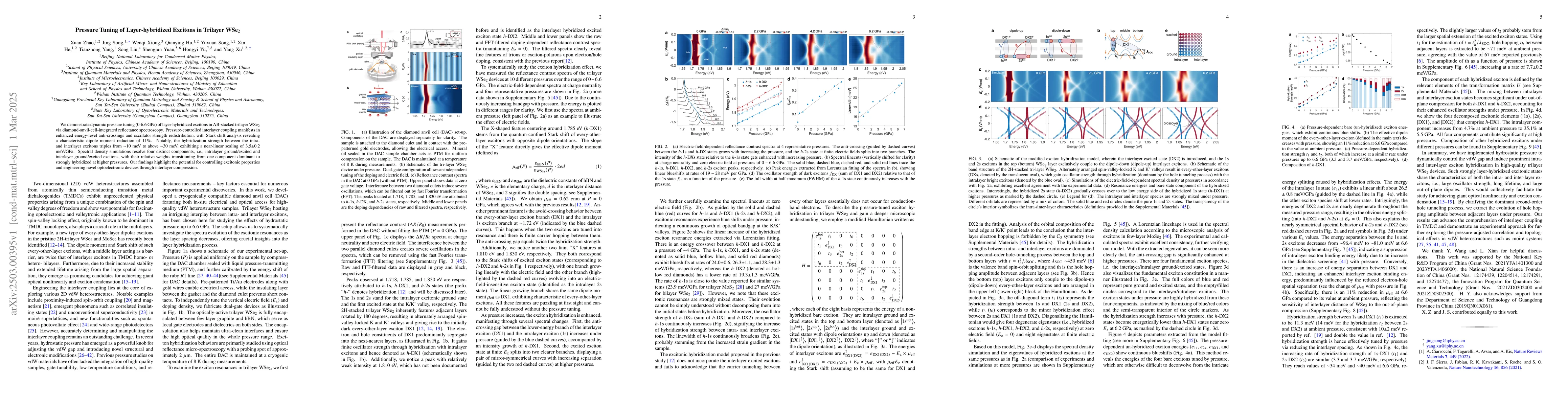 Thumbnail for Pressure Tuning of Layer-hybridized Excitons in Trilayer WSe2
