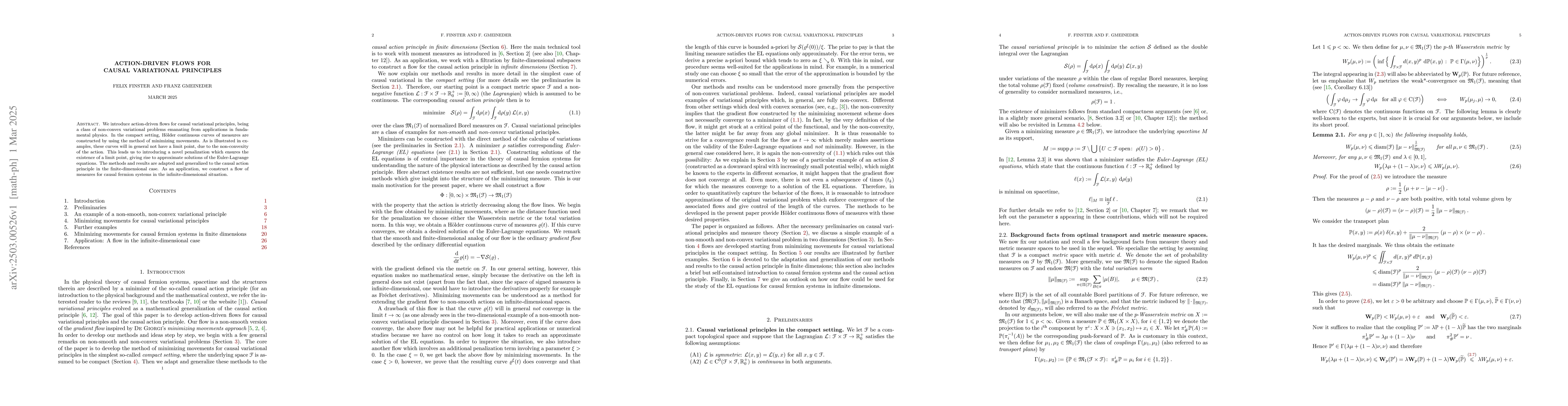 Thumbnail for Action-Driven Flows for Causal Variational Principles