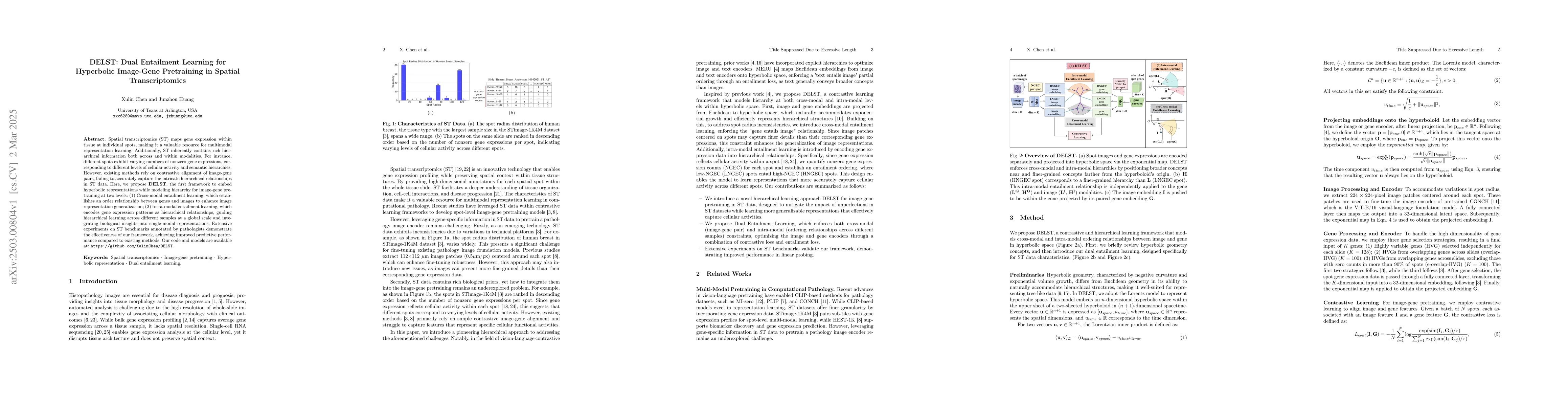 Thumbnail for DELST: Dual Entailment Learning for Hyperbolic Image-Gene Pretraining in
  Spatial Transcriptomics