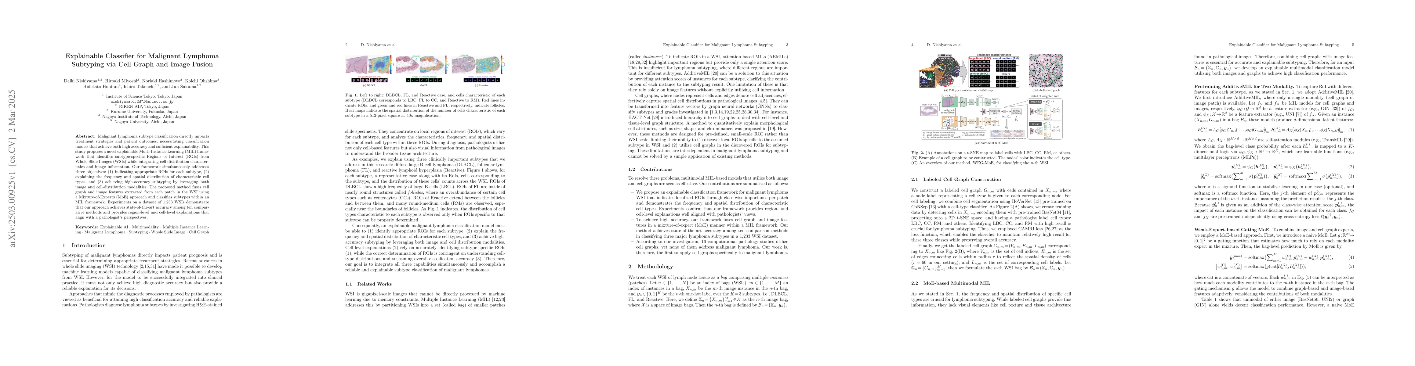 Thumbnail for Explainable Classifier for Malignant Lymphoma Subtyping via Cell Graph
  and Image Fusion