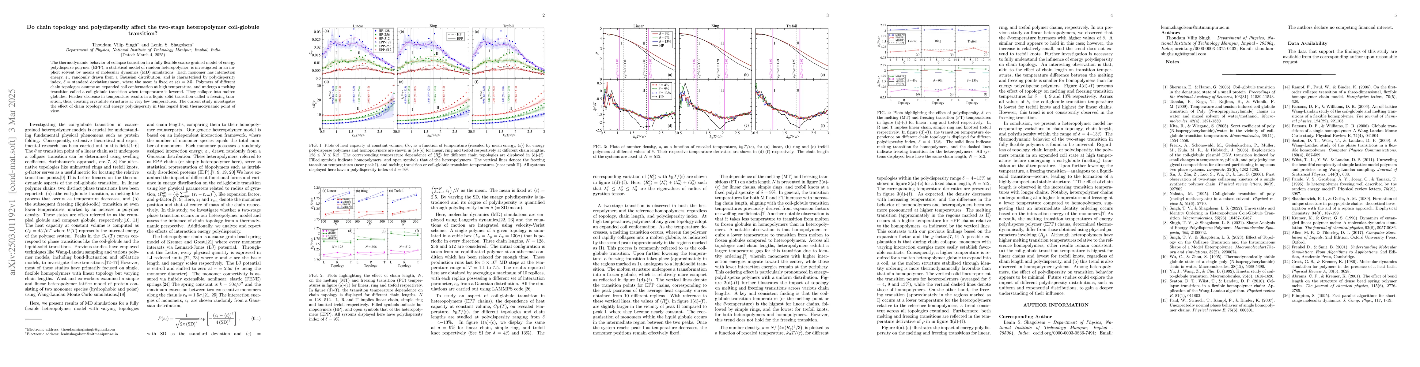 Thumbnail for Do chain topology and polydispersity affect the two-stage heteropolymer
  coil-globule transition?