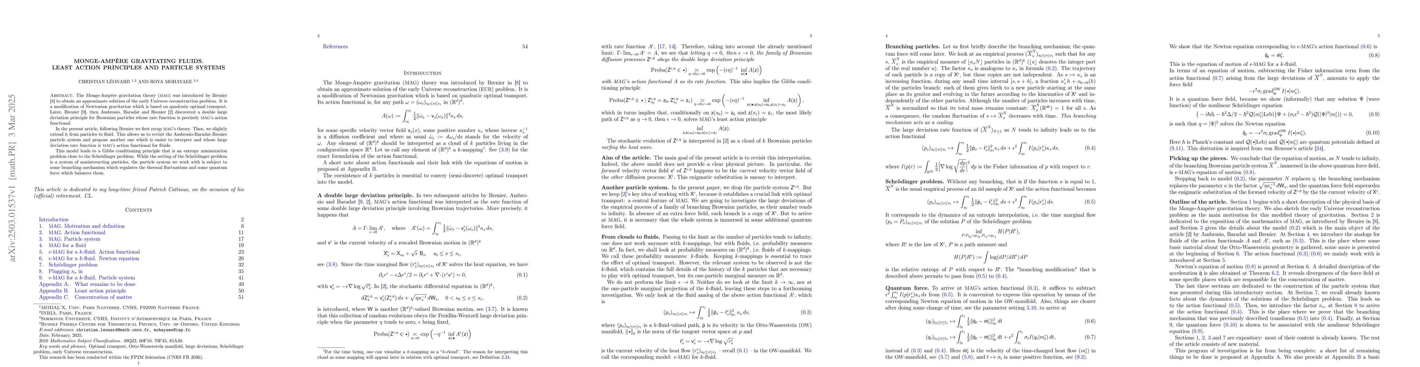 Thumbnail for Monge-Ampère gravitating fluids. Least action principles and particle
  systems