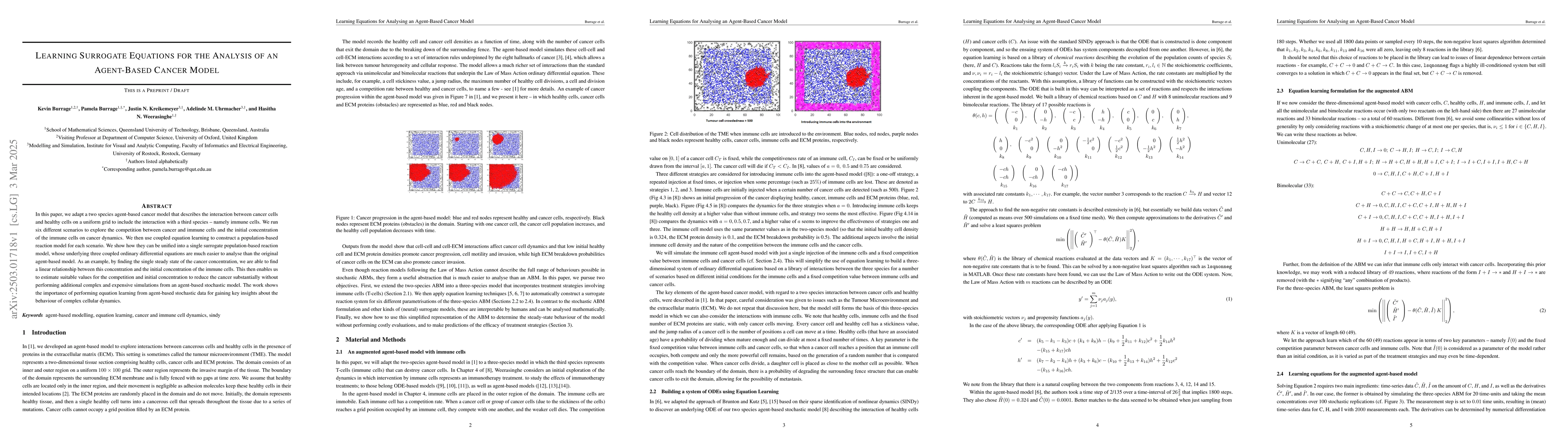 Thumbnail for Learning Surrogate Equations for the Analysis of an Agent-Based Cancer
  Model
