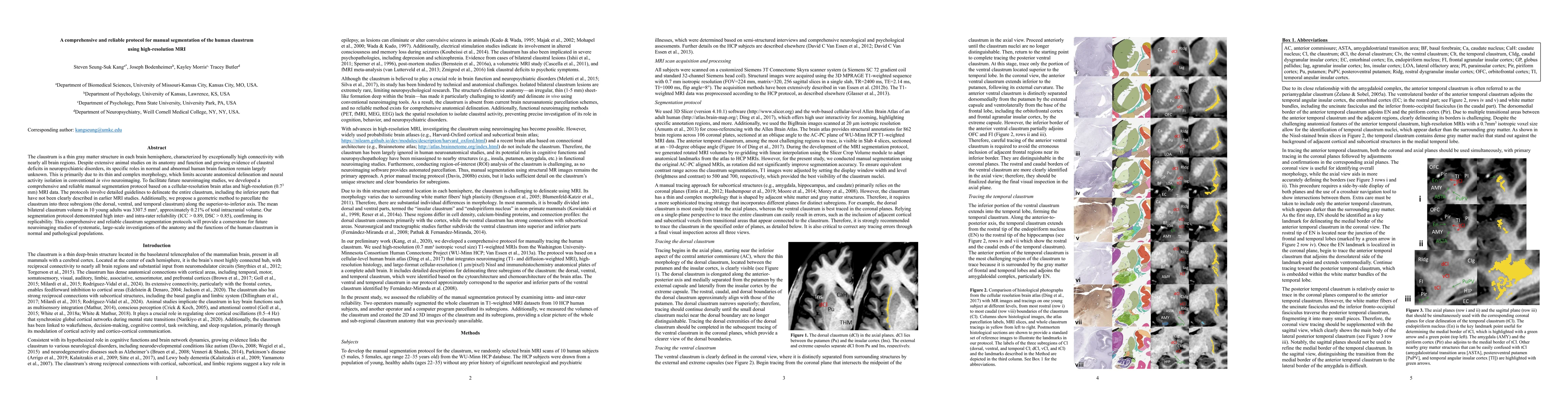 Thumbnail for A comprehensive and reliable protocol for manual segmentation of the
  human claustrum using high-resolution MRI