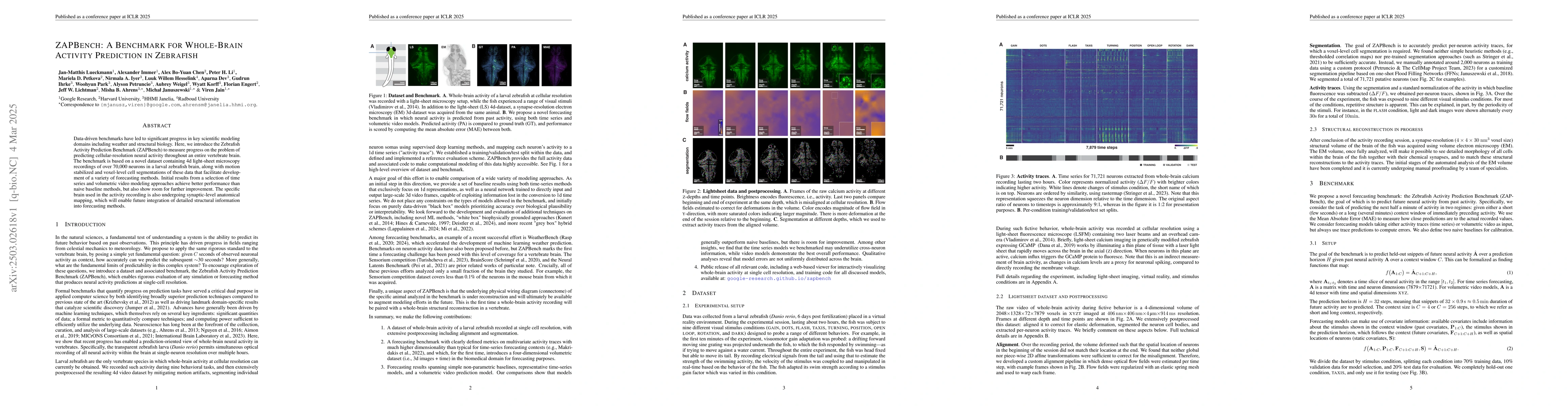 Thumbnail for ZAPBench: A Benchmark for Whole-Brain Activity Prediction in Zebrafish
