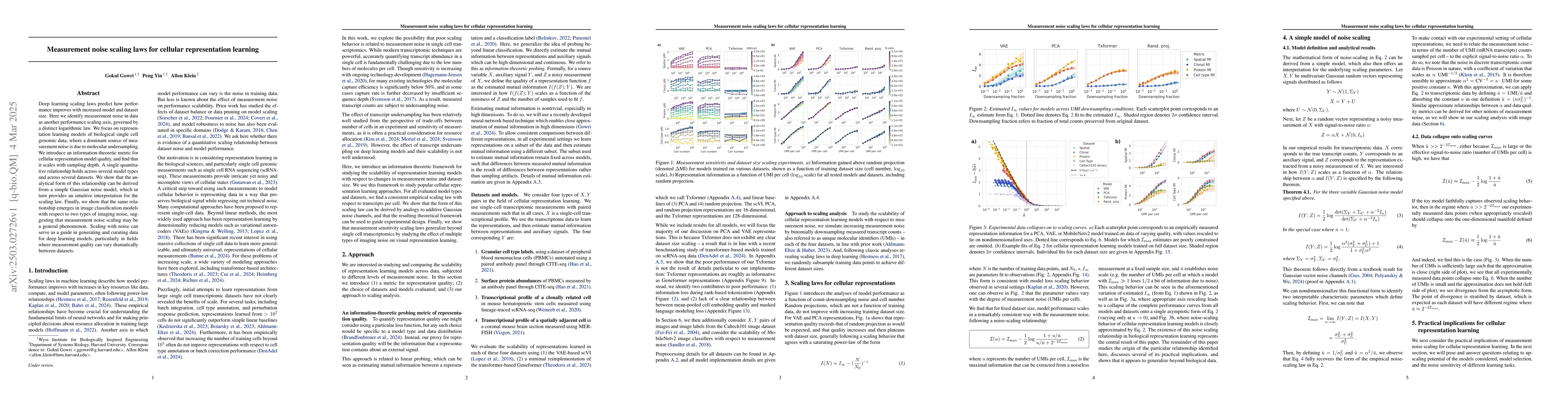 Thumbnail for Measurement noise scaling laws for cellular representation learning