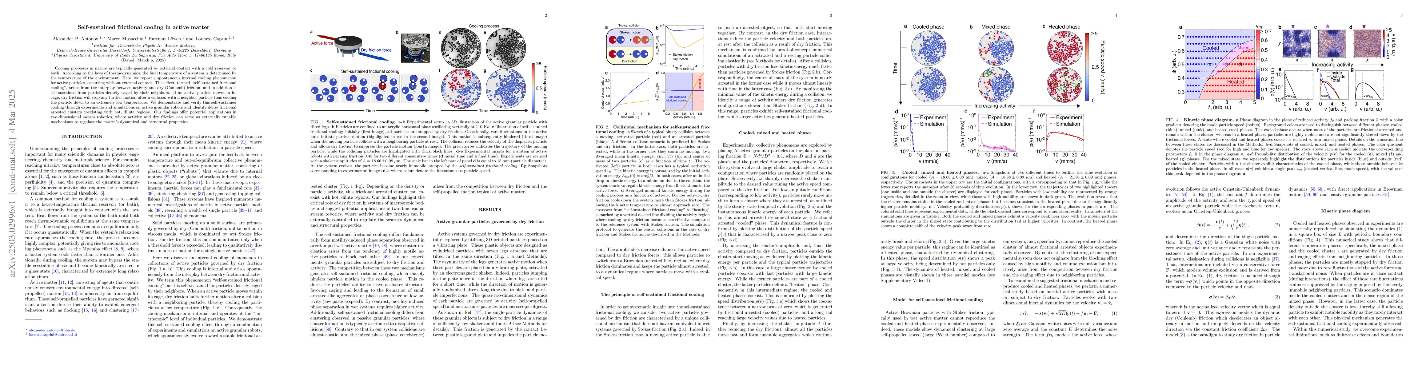 Thumbnail for Self-sustained frictional cooling in active matter