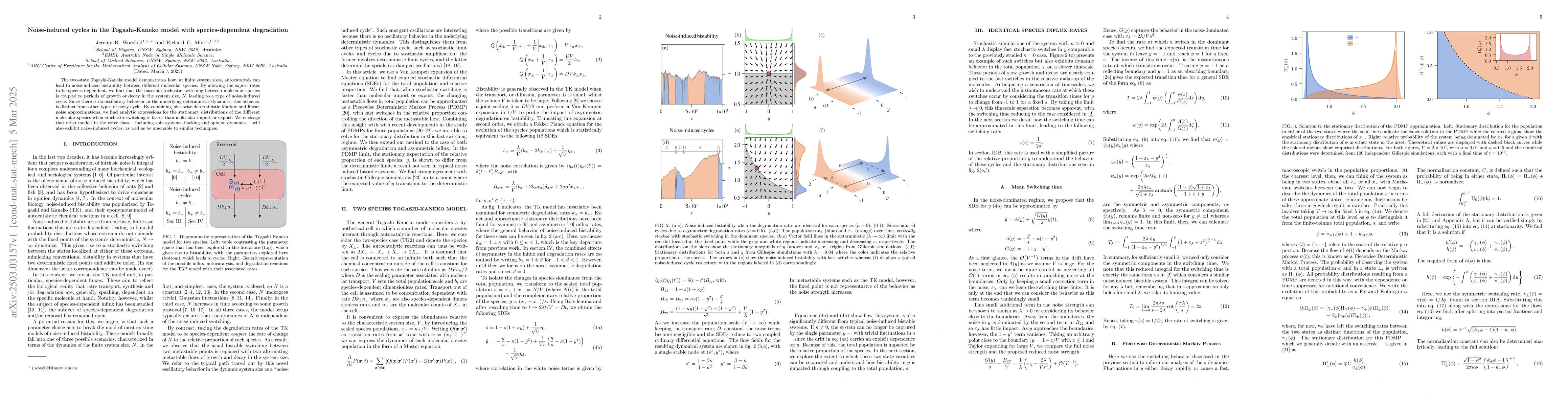 Thumbnail for Noise-induced cycles in the Togashi-Kaneko model with species-dependent
  degradation
