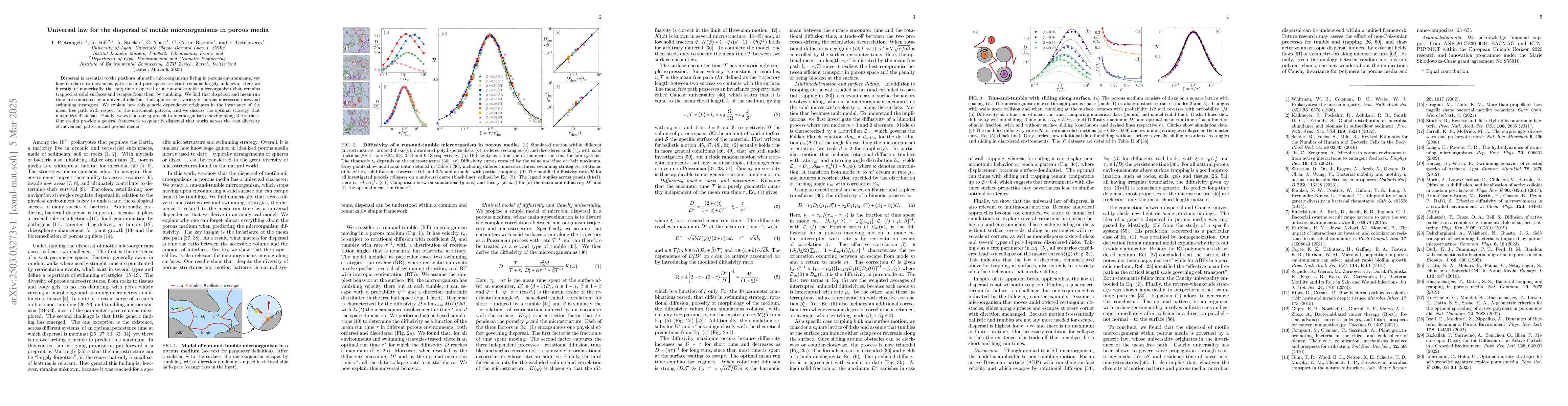 Thumbnail for Universal law for the dispersal of motile microorganisms in porous media
