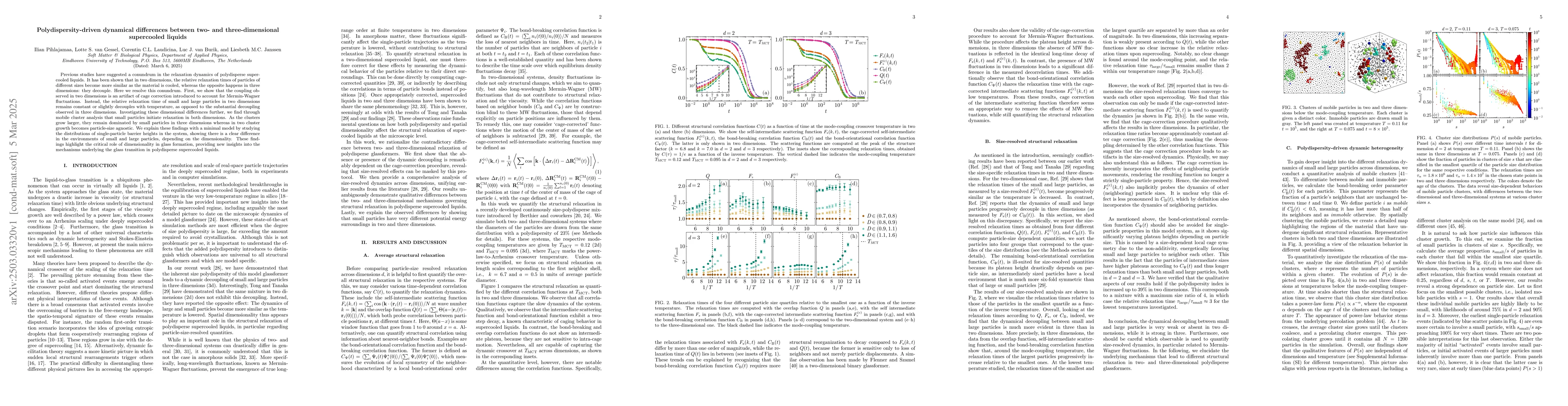 Thumbnail for Polydispersity-driven dynamical differences between two- and
  three-dimensional supercooled liquids
