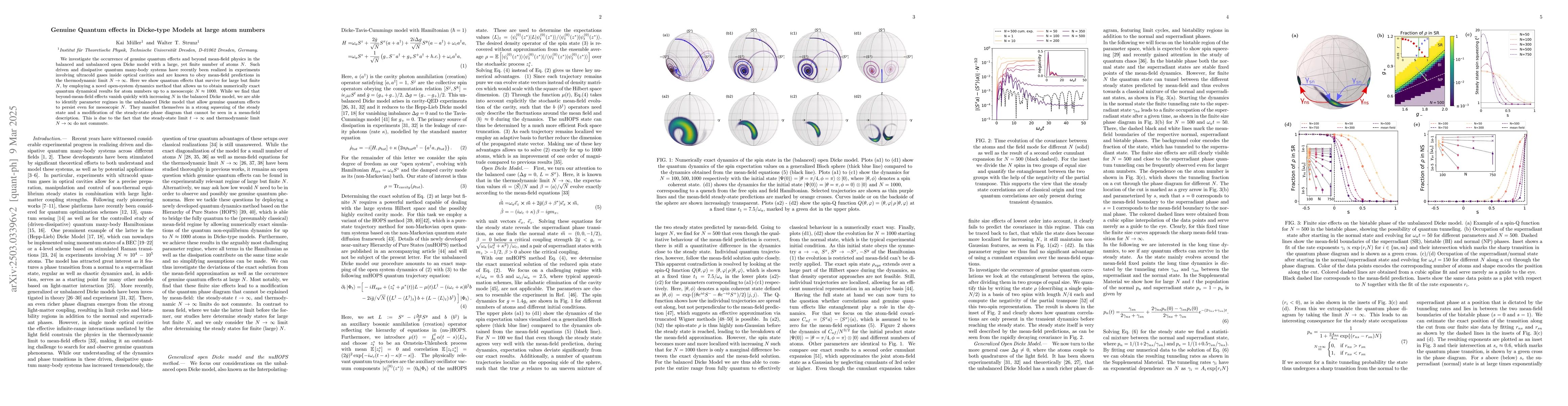 Thumbnail for Genuine Quantum effects in Dicke-type Models at large atom numbers