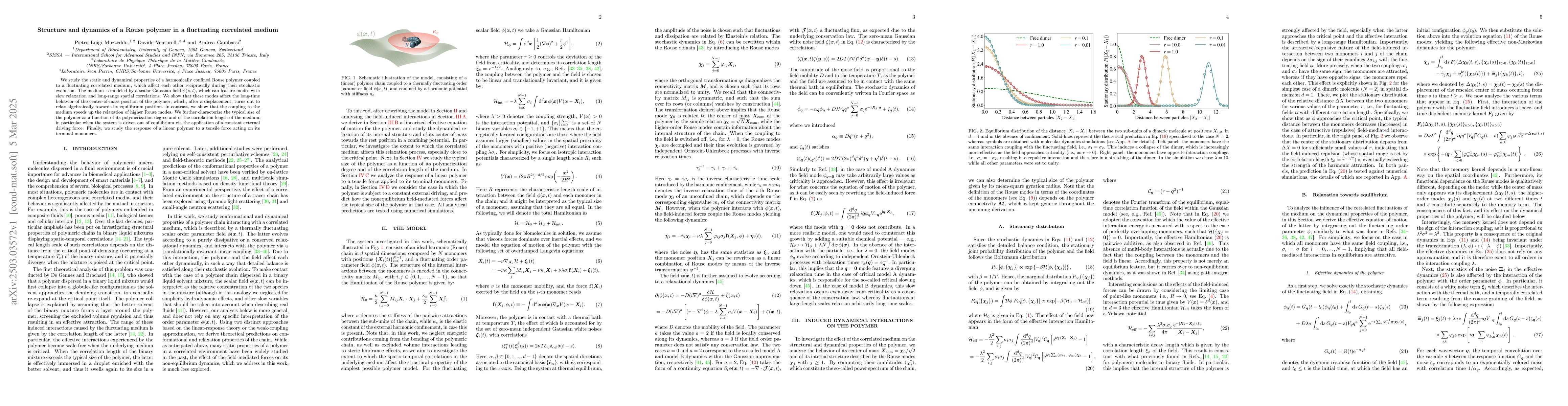 Thumbnail for Structure and dynamics of a Rouse polymer in a fluctuating correlated
  medium