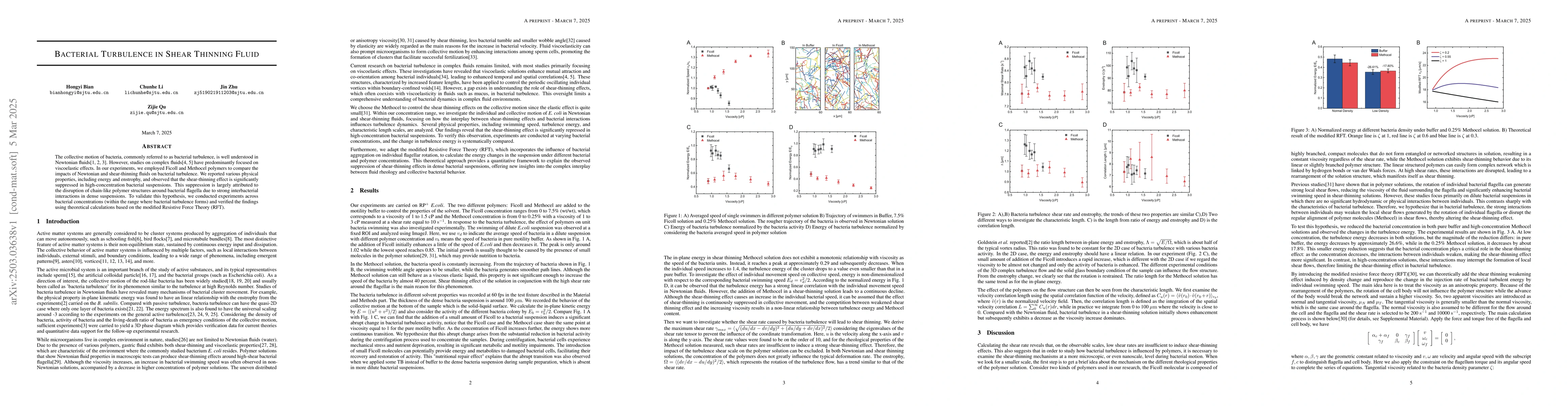 Thumbnail for Bacterial Turbulence in Shear Thinning Fluid