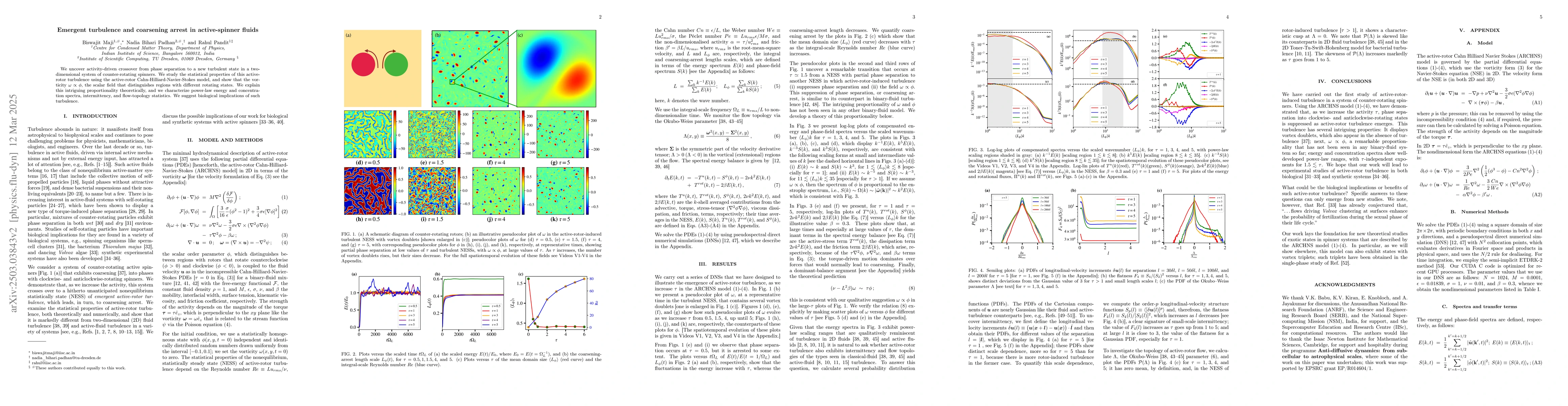 Thumbnail for Emergent turbulence and coarsening arrest in active-spinner fluids