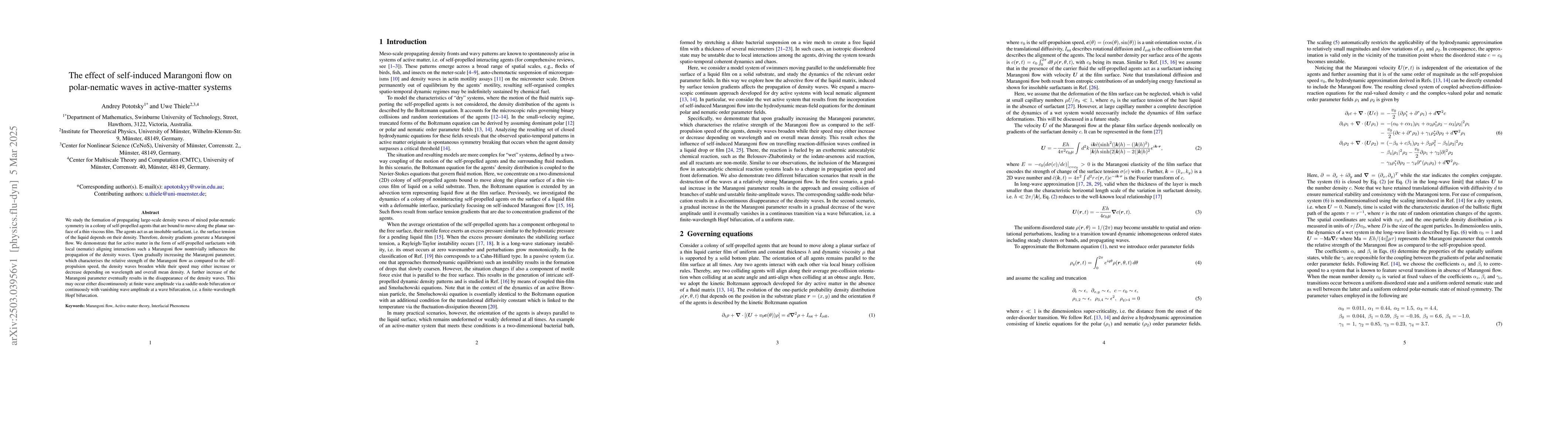 Thumbnail for The effect of self-induced Marangoni flow on polar-nematic waves in
  active-matter systems