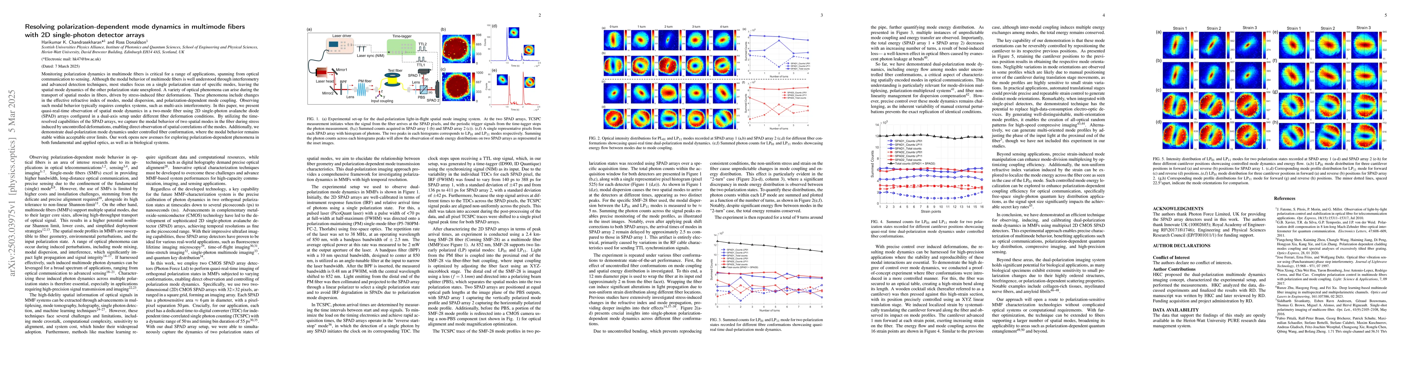 Thumbnail for Resolving polarization-dependent mode dynamics in multimode fibers with
  2D single-photon detector arrays
