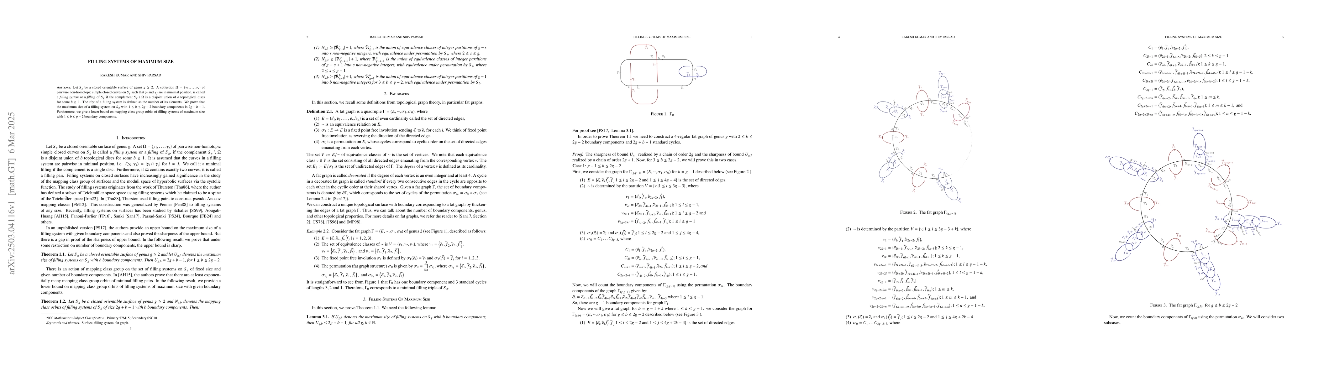 Thumbnail for Filling systems of maximum size