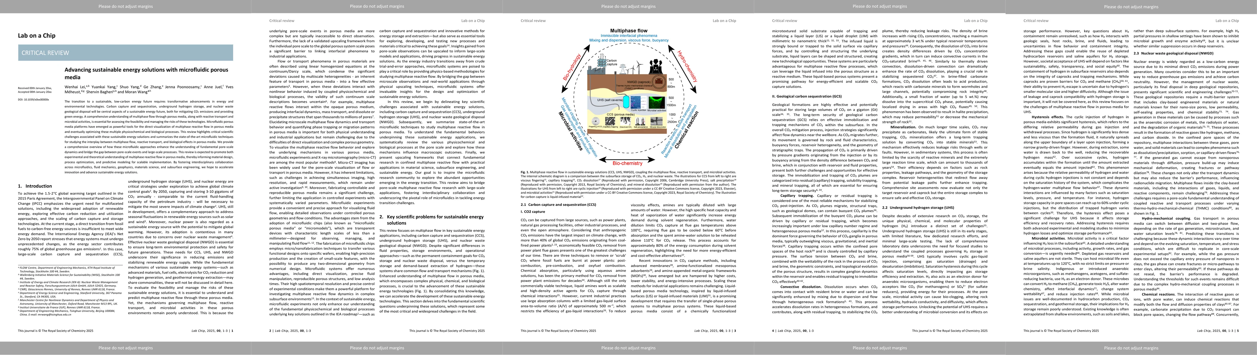 Thumbnail for Advancing sustainable energy solutions with microfluidic porous media