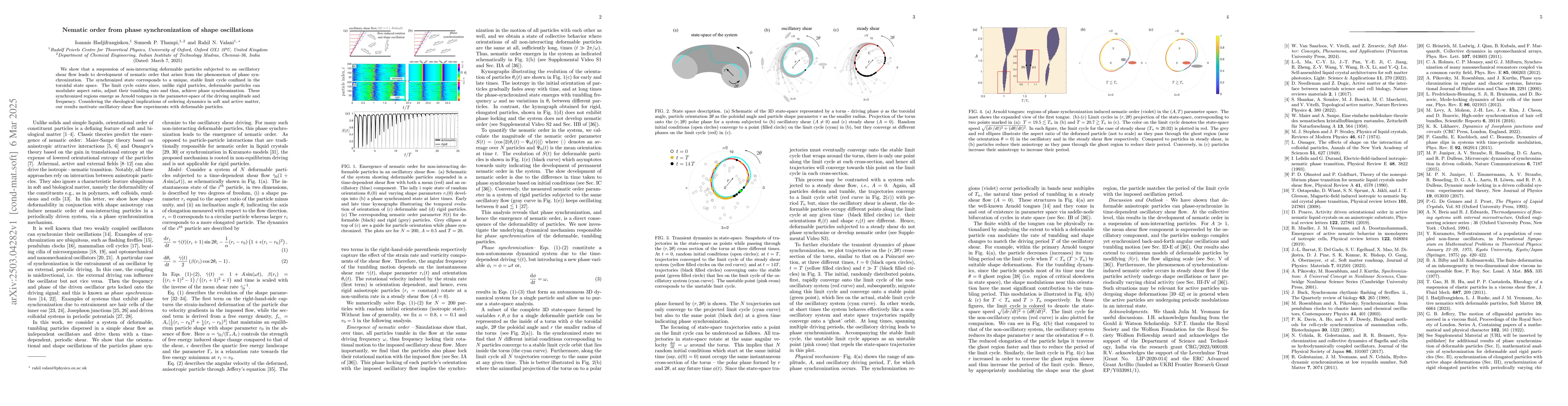Thumbnail for Nematic order from phase synchronization of shape oscillations